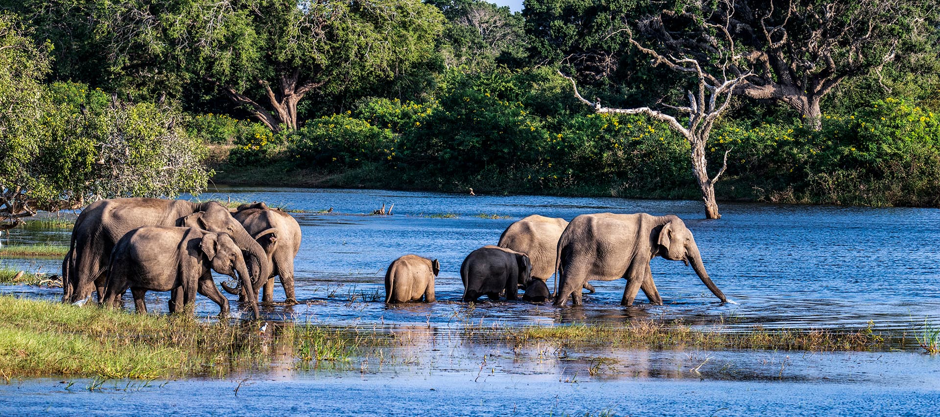 Wildlife & Nature photo