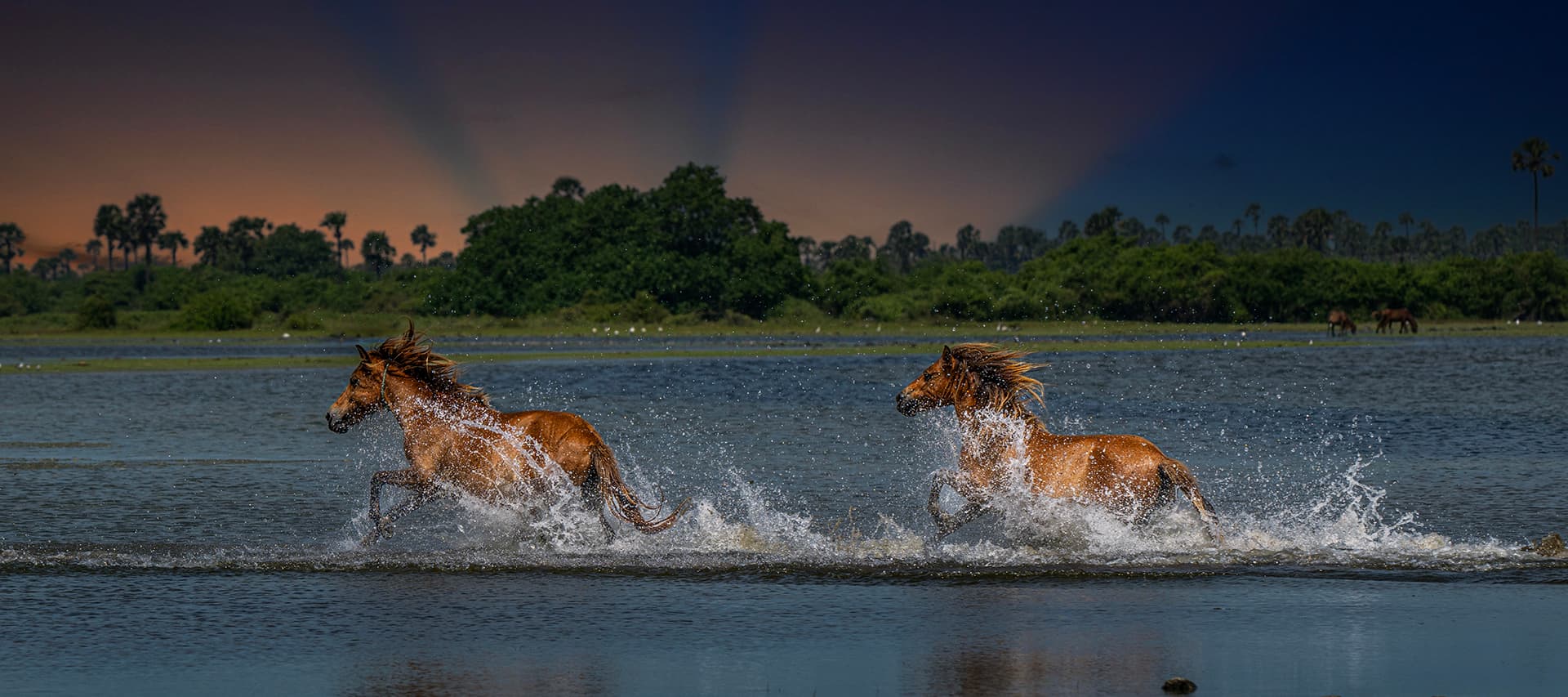 Wildlife & Nature photo