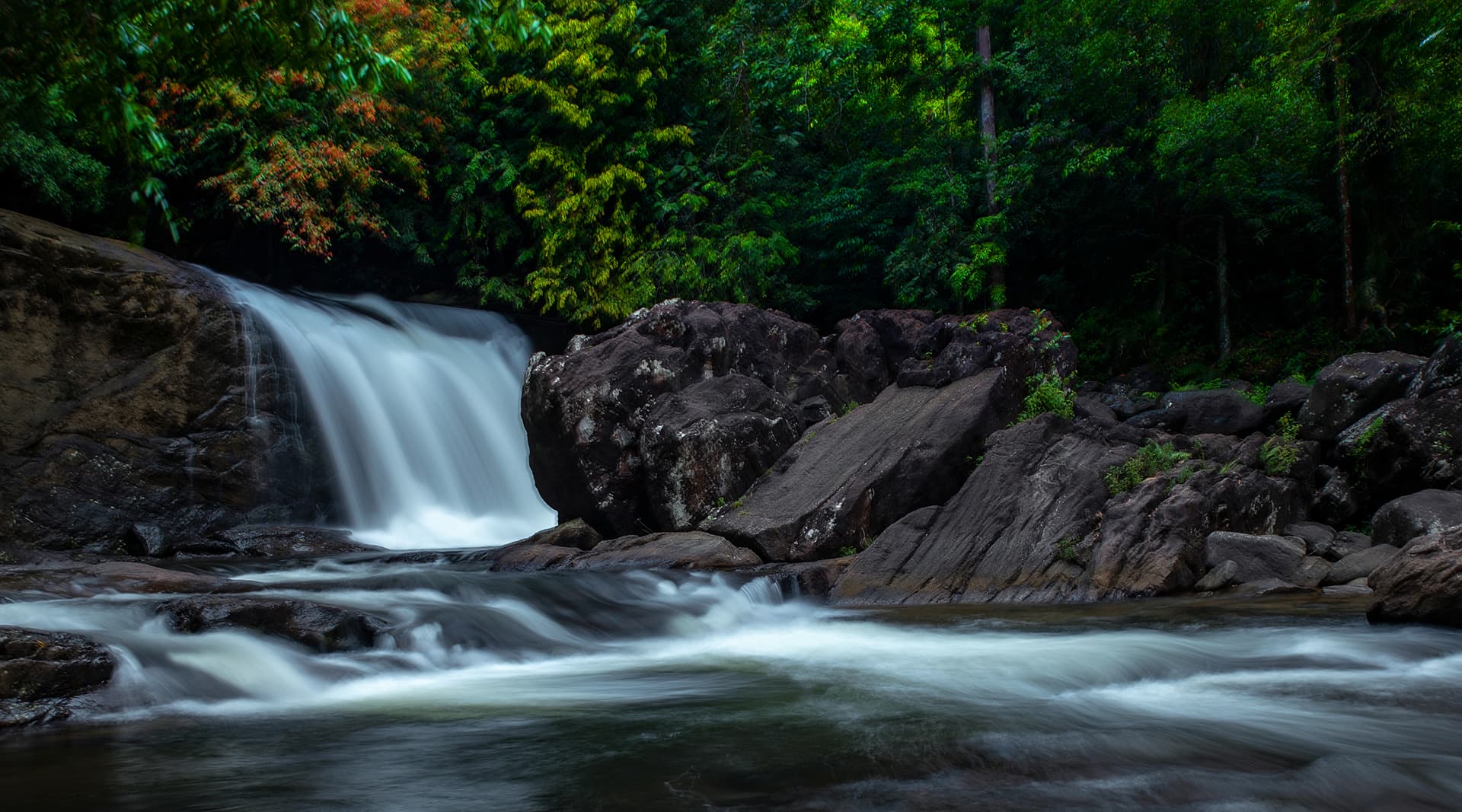 Wildlife & Nature photo