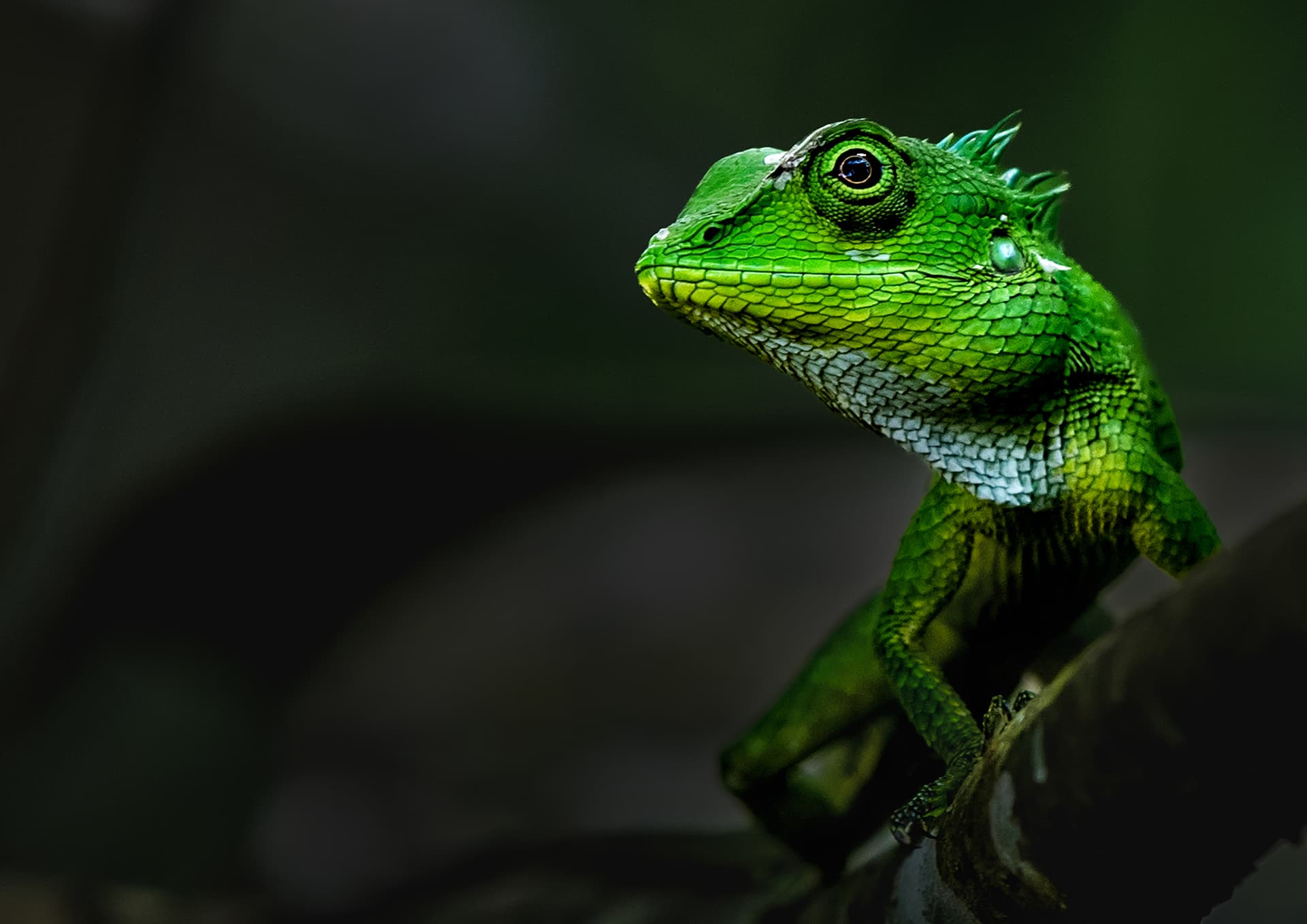Wildlife & Nature photo